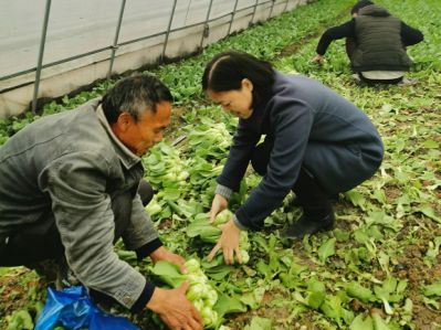 采購貧困地區(qū)農副產品，響應消費扶貧政策